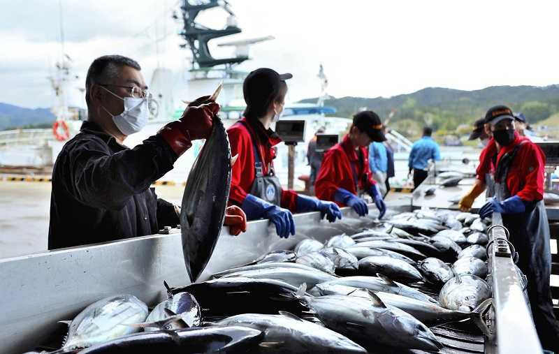 Fishery and Aquaculture